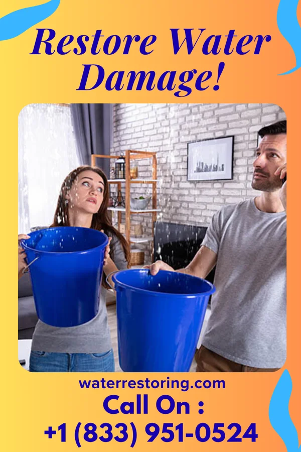 water restoration Vigilant Sewage Cleanup Inc Wiota
