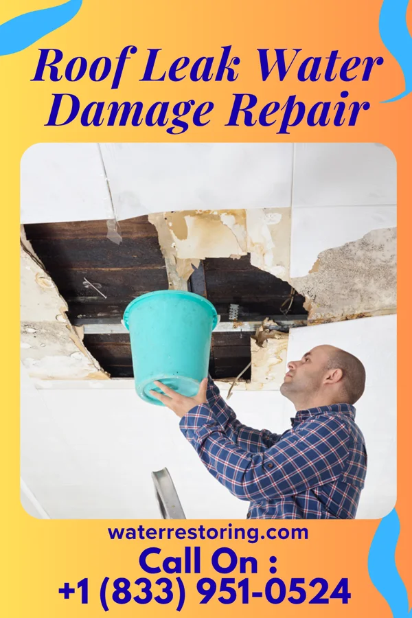 Roof Leak Water Damage Repair in Wiota, IA