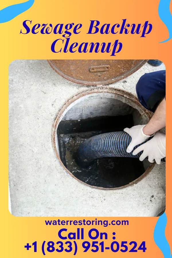 Sewage Backup Cleanup in Wiota, IA