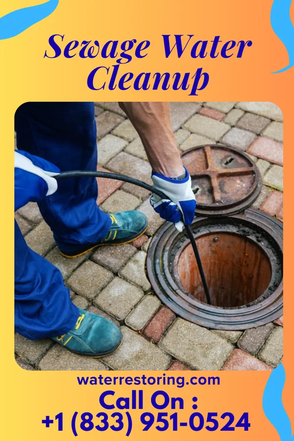 Sewage Water Cleanup in Wiota, IA